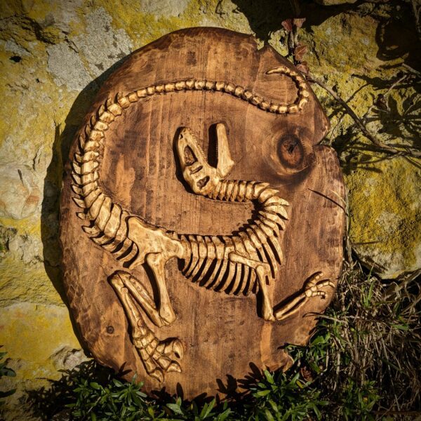 •Fossile Raptor• – Image 2