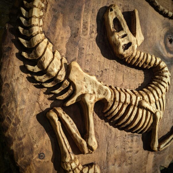 •Fossile Raptor• – Image 3