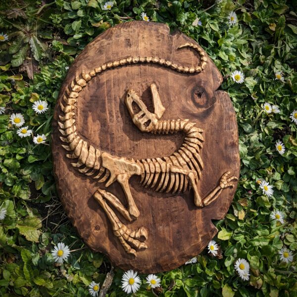 •Fossile Raptor•