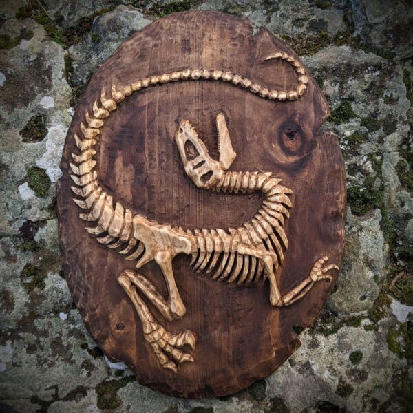 •Fossile Raptor• – Image 5