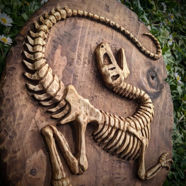 •Fossile Raptor• – Image 6